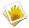 Picture of the MediaWiki flower